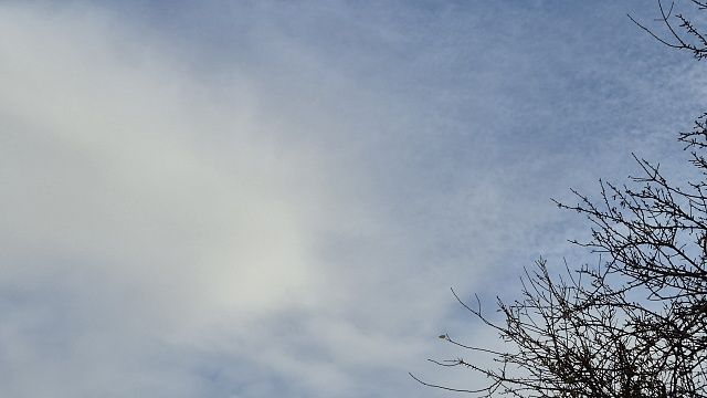 Фото: телеканал «Краснодар»