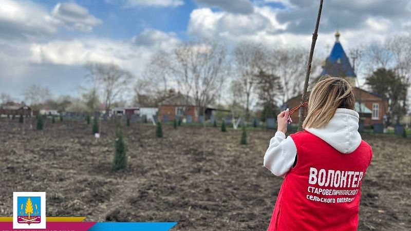 Более 200 деревьев высадили в «Саду памяти» в Калининском районе