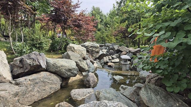 Небольшой дождь и прохладный ветер порадуют краснодарцев 7 августа