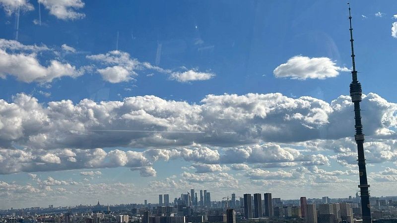 Покупательница квартиры Ларисы Долиной не знает о её выселении 5 января