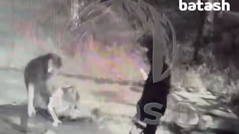 Подростки избили 13-летнего парня с накрашенными ногтями в Уфе