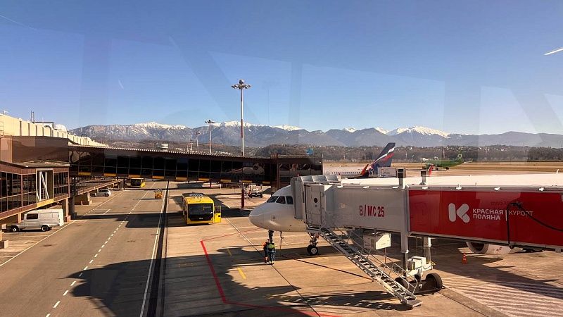 В аэропорту Сочи опровергли сообщения о том, что самолет сбил зайца