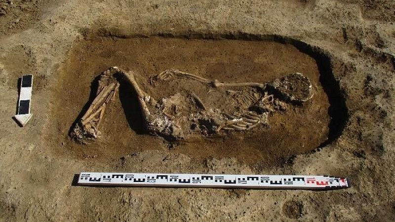 В пригороде Краснодара обнаружили погребения эпохи бронзы