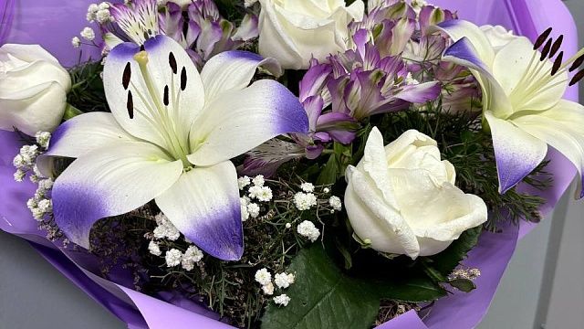 Фото: телеканал «Краснодар»