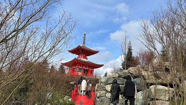 В Японский сад Краснодара 30 и 31 марта будут впускать без QR-кода, фото: телеканал «Краснодар»