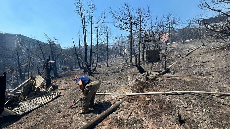 Минприроды Кубани оценило в 5 миллиардов ущерб природе от пожара в Новороссийске