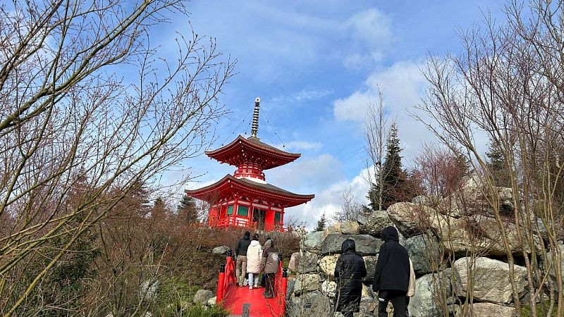 В Японский сад Краснодара 30 и 31 марта будут впускать без QR-кода