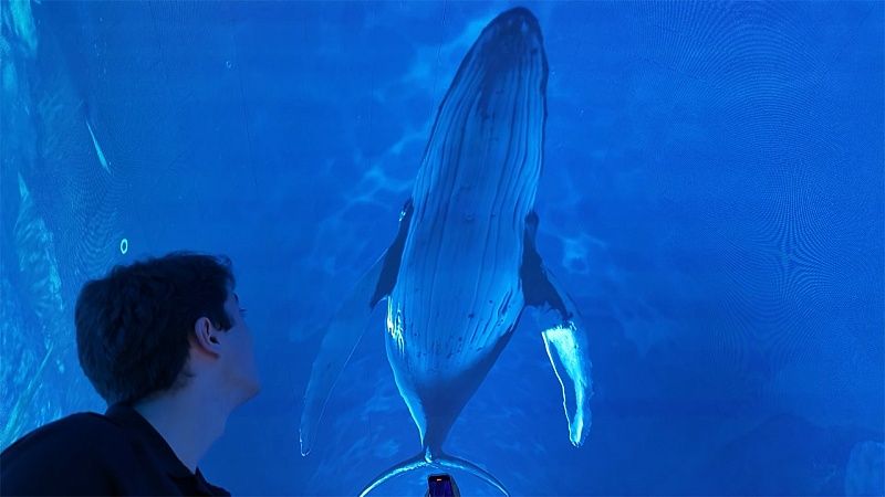 ДТП со скорой помощью, новая локация в парке «Краснодар». Новости 13 августа.