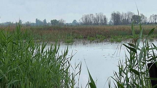 Фото: телеканал «Краснодар»