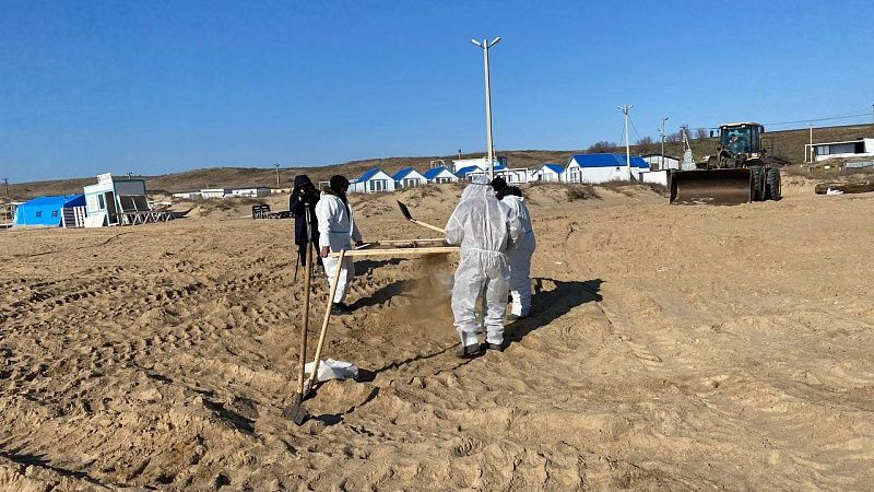 Виталий Савельев: загрязненный мазутом песок заменят на пляжах Кубани