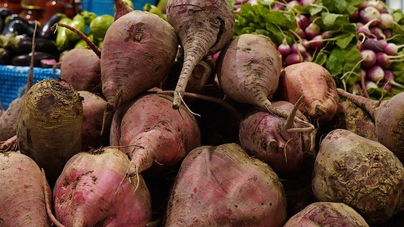 Сезон переработки сахарной свеклы стартовал на Кубани