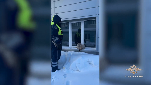 Фото: пресс-служба МВД России