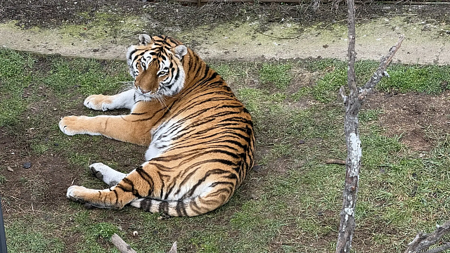 Фото: телеканал «Краснодар»