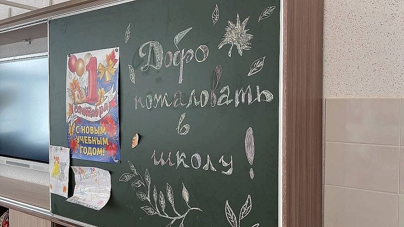 Welt: школьники разучились держать карандаши и ходить в туалет одни в Германии