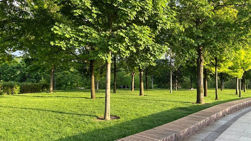 Потепление до +20 градусов придет в Краснодар 14 мая