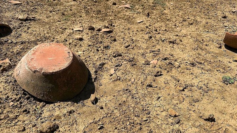 Останки членов княжеского рода нашли на месте строительства АЭС в Британии