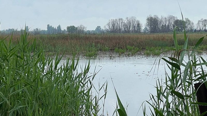 Тело мужчины нашли в озере в Усть-Лабинске