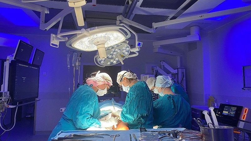 Подростку едва не выбило глаз в столкновении с птицей в Ижевске