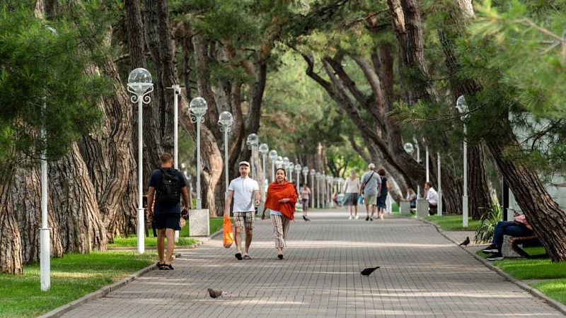 Мэрия Геленджика изъяла около 600 электросамокатов, незаконно сдающихся в прокат