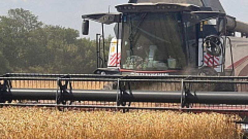 ИИ сэкономил почти 2 млн рублей на удобрениях аграриям Кубани