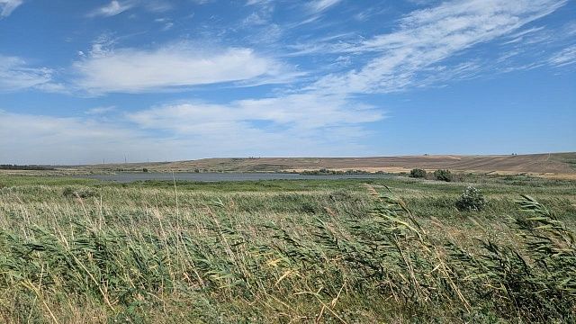 Фото: телеканал «Краснодар»