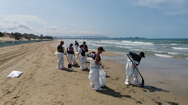 Мониторинговые группы не нашли свежих выбросов мазута в Анапе