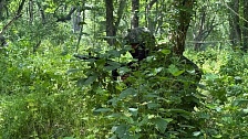 Два российских штурмовика вступили в бой с группой «Азова»* за Новониколаевку