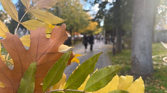 Фото: телеканал «Краснодар»