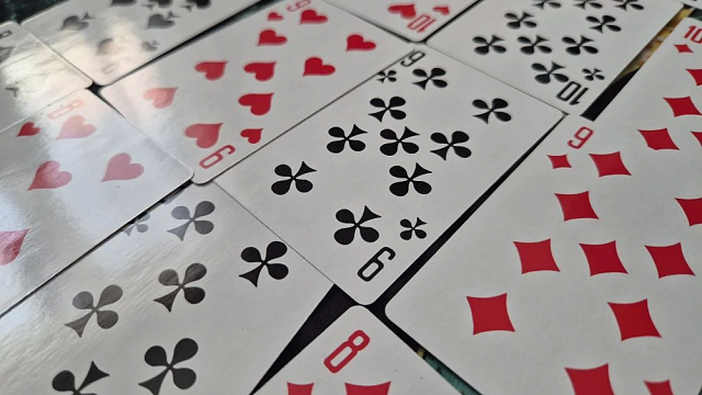 Фото: телеканал «Краснодар»