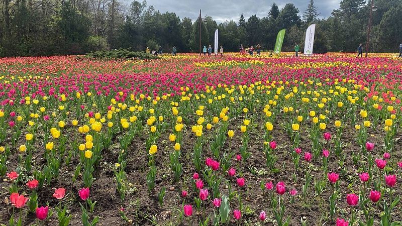 Ботанический сад  закроют на один день в Краснодаре