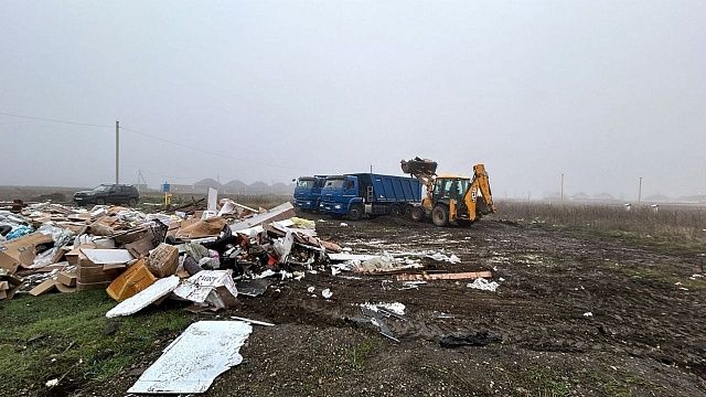 Фото: пресс-служба администрации Краснодара