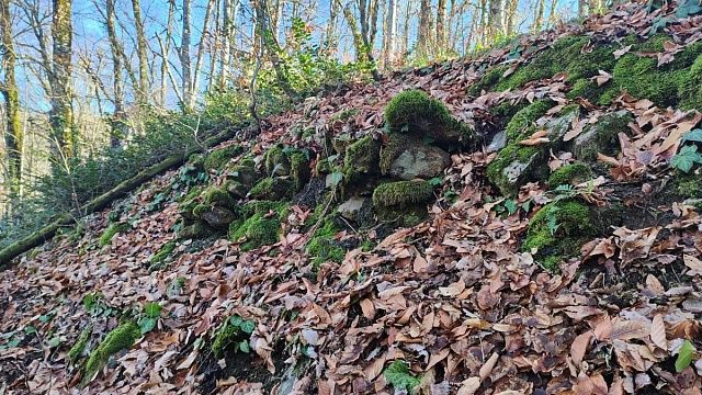 Фото: пресс-служба Сочинского нацпарка
