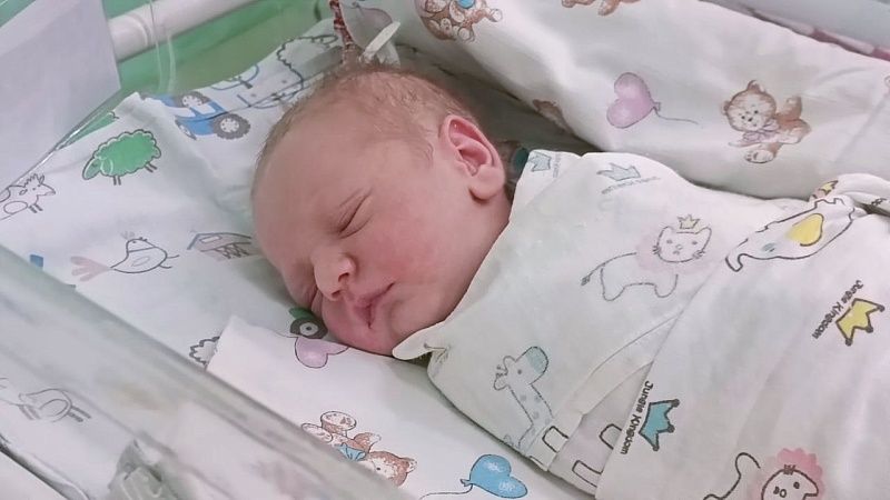 Две пары близнецов родились на Кубани 