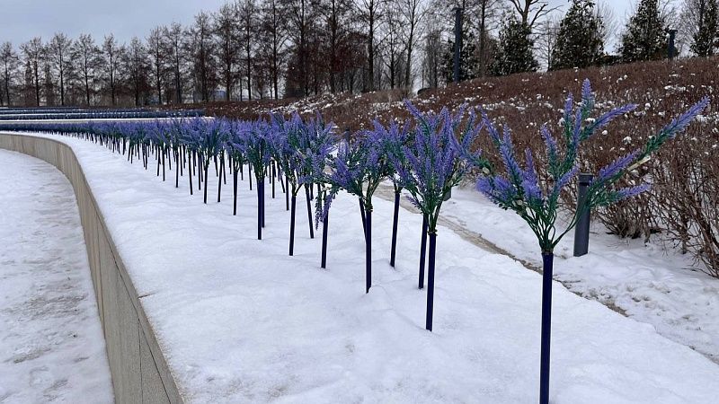 Под конец февраля 25-градусные морозы пришли на Кубань