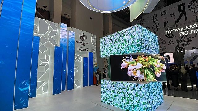 На выставке «Россия» Кубань представила практику активного долголетия. Фото: телеканал «Краснодар»