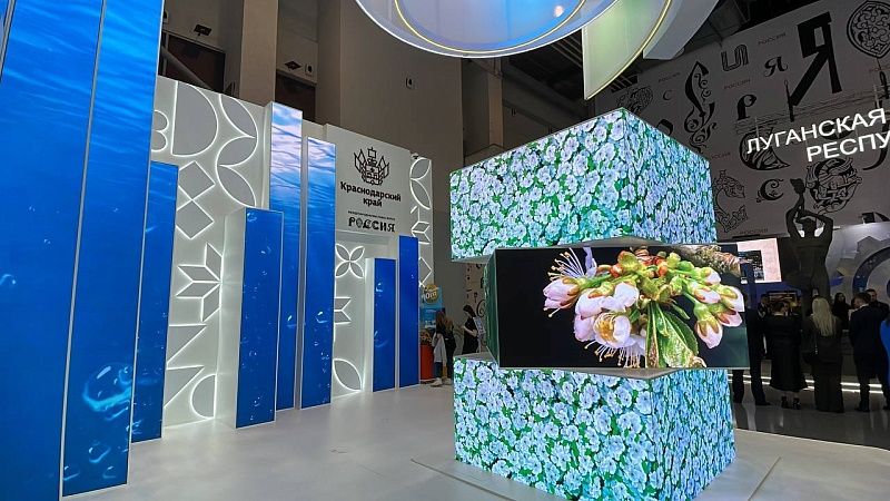 На выставке-форуме «Россия» Кубань представила практику активного долголетия