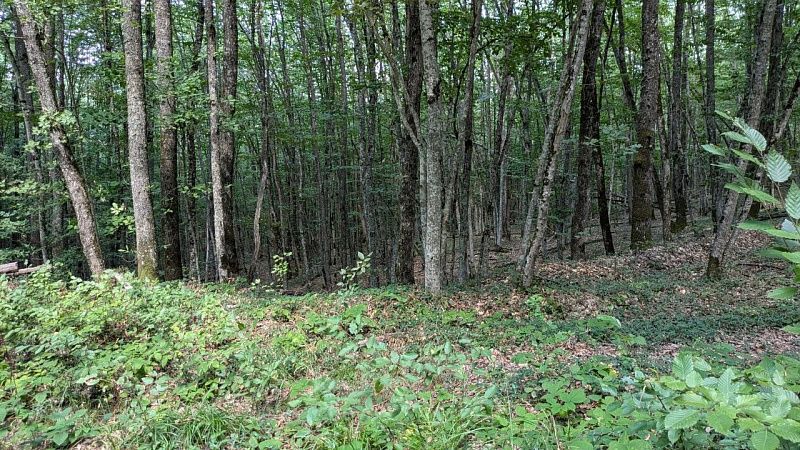 Разыскиваемого в течение пяти дней 68-летнего пенсионера нашли погибшим в Сочи