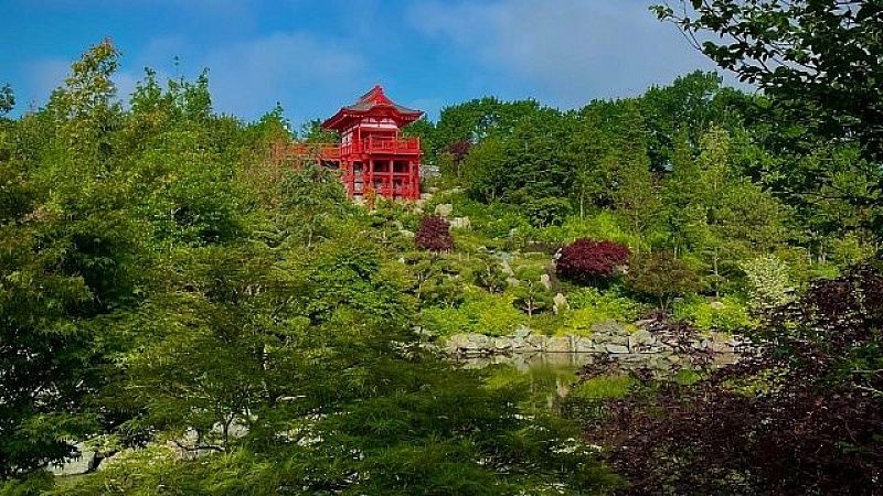 Для повышения рождаемости введут четырёхдневную рабочую неделю в Токио