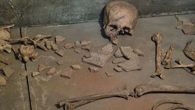 Фото: телеканал «Краснодар»