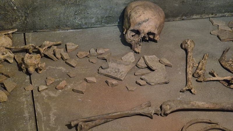 Древние захоронения возрастом до 3,5 тыс. лет обнаружили в Адыгее 