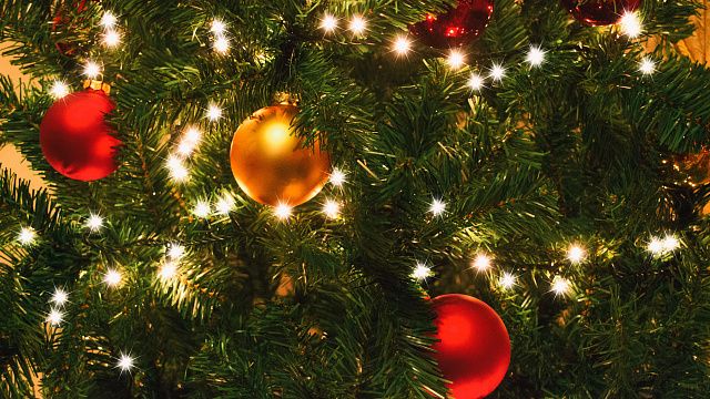 Как сохранить свежесть новогоднего дерева: делимся простыми методами