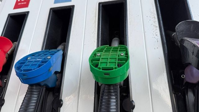 Фото: телеканал «Краснодар»