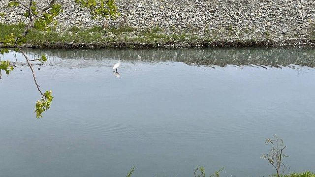 Прокуратура проверит жалобы жителей Тихорецкого района на грязь в реке Челбас