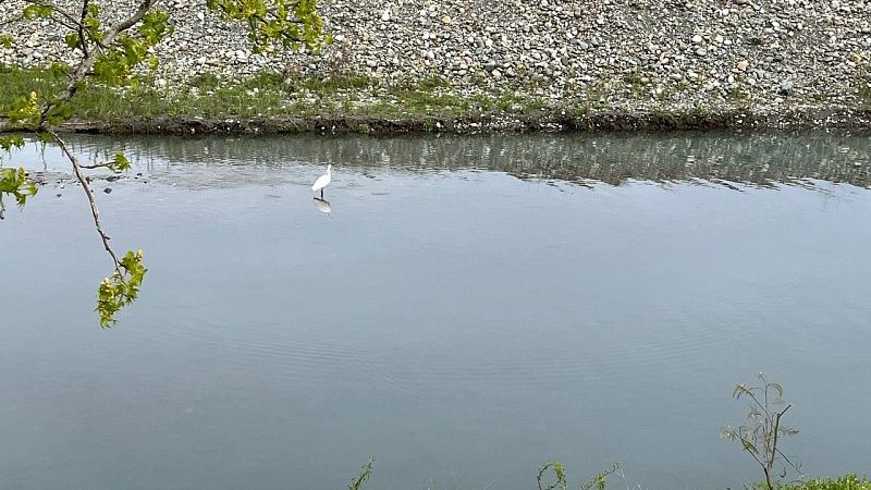 Прокуратура проверит жалобы жителей Тихорецкого района на грязь в реке Челбас