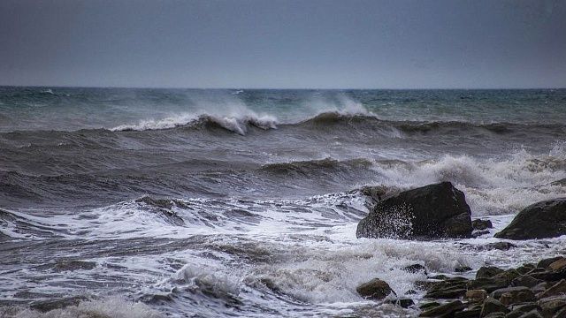 Фото: Павел Сагайдак