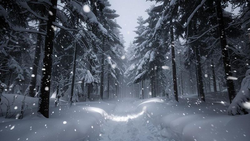 Людям пришлось выкапывать дома из сугробов в Петропавловске-Камчатском