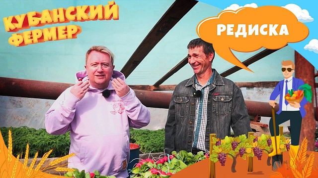 Кубанский фермер – выращивание редиса