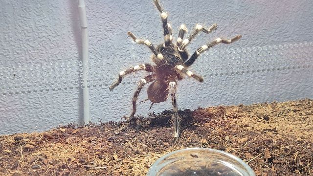 Фото: телеканал «Краснодар»