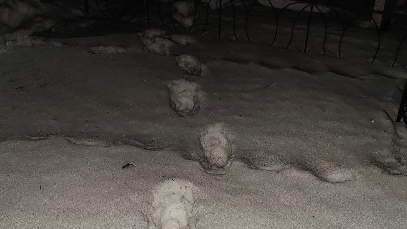 СК: обращение о похищении могла записать сама пропавшая школьница из Ачинска