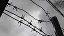 Экс‑министр хранил дома 9 миллиардов форинтов в Венгрии